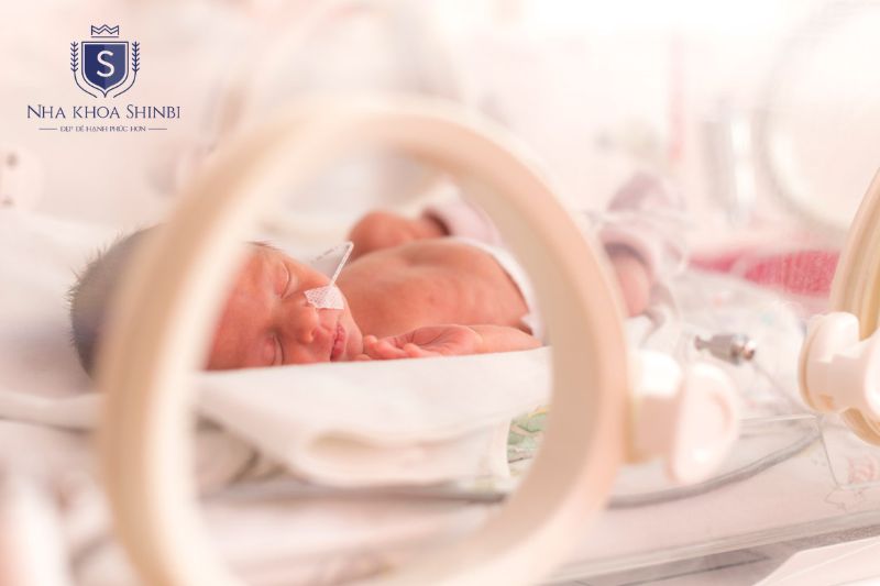 Vi khuẩn từ túi nha chu có thể theo máu đến nhau thai