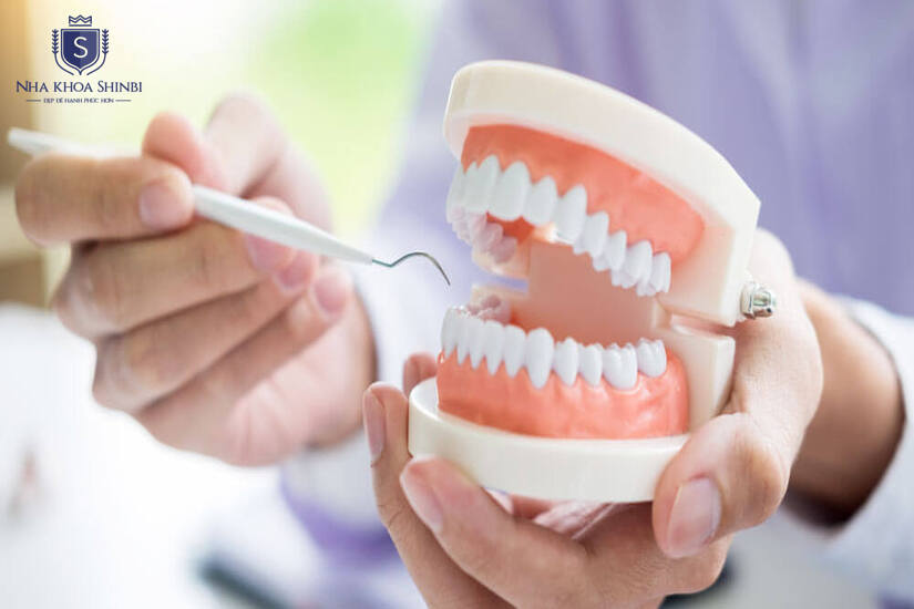 Thăm khám cẩn thận giúp quá trình nhổ diễn ra thuận lợi